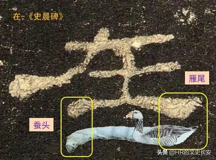 以拙取胜:当陕西凤香型白酒遇到股市牛散付小铜(图9) 以拙取胜:当陕西凤香型白酒遇到股市牛散付小铜