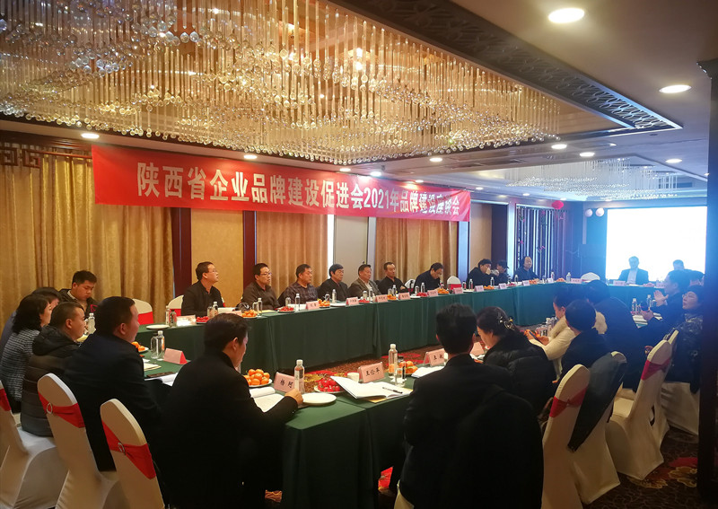 陕西省企业品牌建设促进会在西安成功举办2021年品牌建设座谈会(图2)