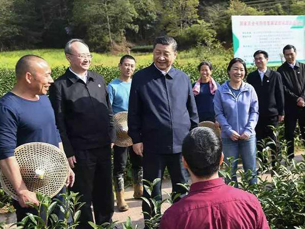 走好品牌建设之路(图6)