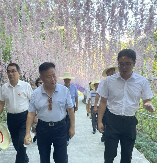 图片6.png