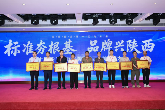 图片 8.png