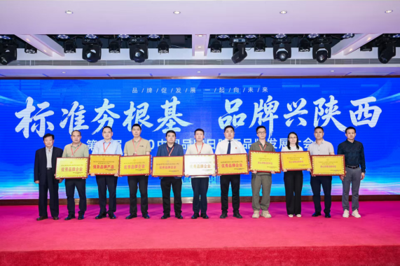 图片 9.png