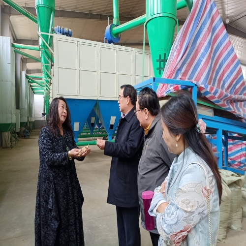 省品促会执行会长杨广银赴礼泉匠心艾生物科技有限公司调研品牌建设工作