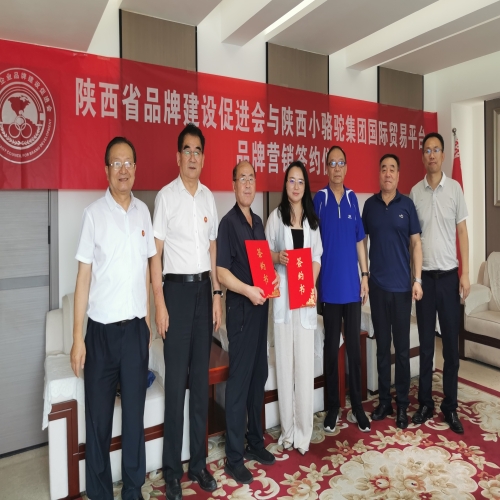 跨越山海为贸易，品牌引领结友谊