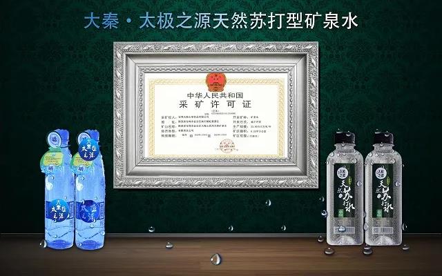 陕西省企业品牌建设促进会相关领导走访宝鸡天海山泉公司(图5)