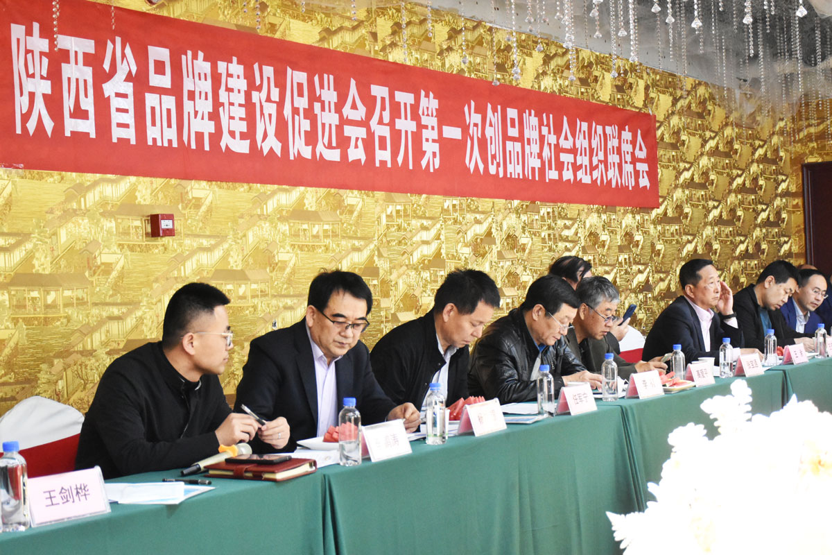 陕西吹响社会组织品牌创建“集结号”——全省社会组织品牌创建联席会议成功召开(图3) 陕西吹响社会组织品牌创建“集结号”——全省社会组织品牌创建联席会议成功召开(图3)